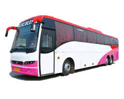 55 SEATER NON AC BUS