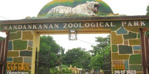 Nandankanan Zoo Tour