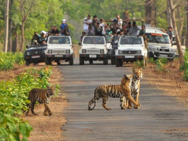 Satkosia Tiger Reserve- Odisha Photo Gallery - Bhubaneswar Cab Rental