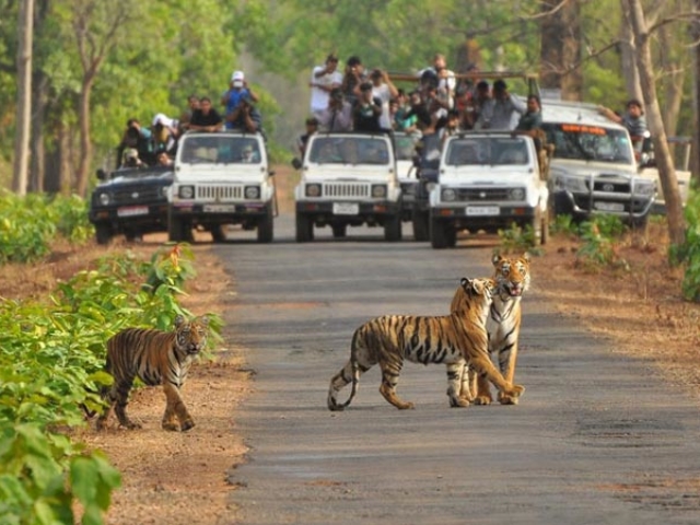 Satkosia Tiger Reserve- Odisha Photo Gallery - Bhubaneswar Cab Rental